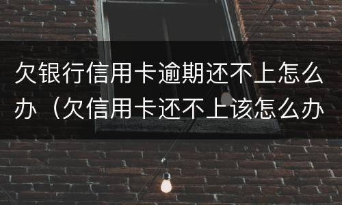欠银行信用卡逾期还不上怎么办（欠信用卡还不上该怎么办）
