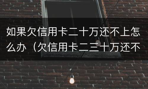 如果欠信用卡二十万还不上怎么办（欠信用卡二三十万还不起怎么办）