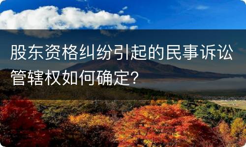 股东资格纠纷引起的民事诉讼管辖权如何确定？