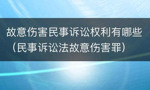 故意伤害民事诉讼权利有哪些（民事诉讼法故意伤害罪）