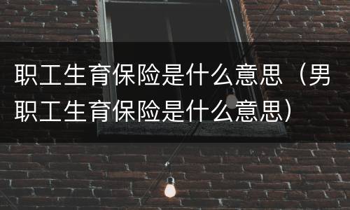 职工生育保险是什么意思（男职工生育保险是什么意思）