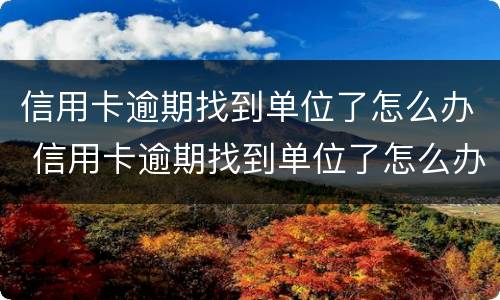 信用卡逾期找到单位了怎么办 信用卡逾期找到单位了怎么办呢