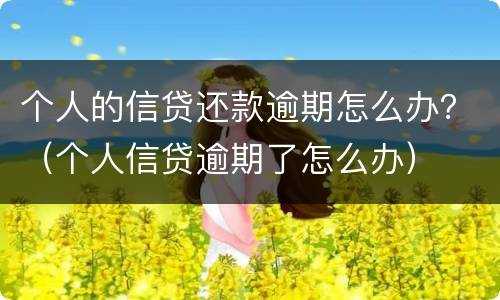 个人的信贷还款逾期怎么办？（个人信贷逾期了怎么办）