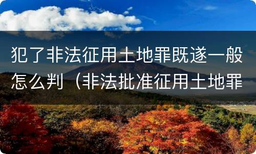 犯了非法征用土地罪既遂一般怎么判（非法批准征用土地罪）