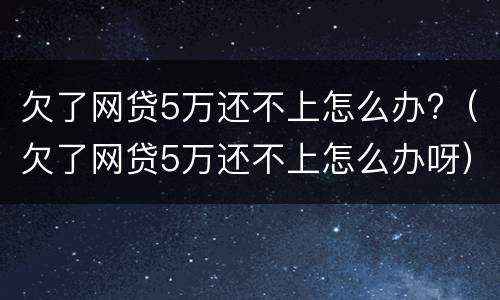 欠了网贷5万还不上怎么办?（欠了网贷5万还不上怎么办呀）