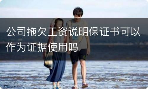 公司拖欠工资说明保证书可以作为证据使用吗