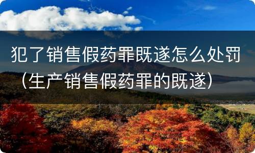 犯了销售假药罪既遂怎么处罚（生产销售假药罪的既遂）