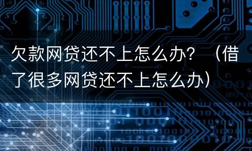 欠款网贷还不上怎么办？（借了很多网贷还不上怎么办）