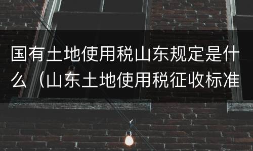国有土地使用税山东规定是什么（山东土地使用税征收标准）