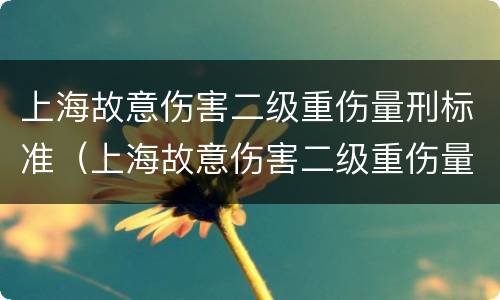 上海故意伤害二级重伤量刑标准（上海故意伤害二级重伤量刑标准）