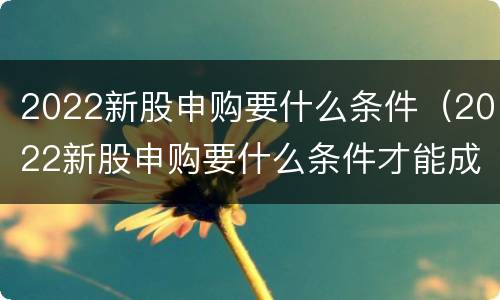 2022新股申购要什么条件（2022新股申购要什么条件才能成功）