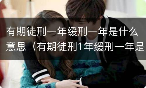 有期徒刑一年缓刑一年是什么意思（有期徒刑1年缓刑一年是什么意思）