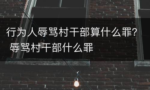 行为人辱骂村干部算什么罪？ 辱骂村干部什么罪