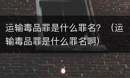 运输毒品罪是什么罪名？（运输毒品罪是什么罪名啊）