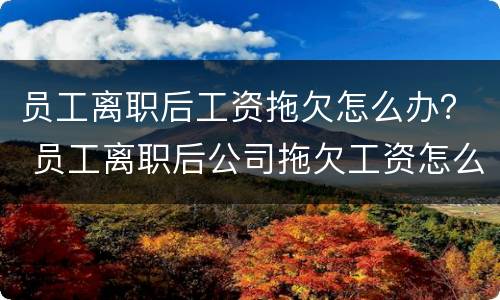 员工离职后工资拖欠怎么办？ 员工离职后公司拖欠工资怎么办