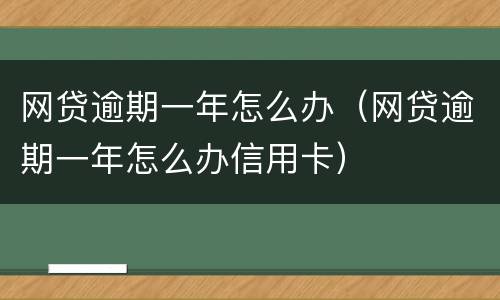 网贷逾期一年怎么办（网贷逾期一年怎么办信用卡）