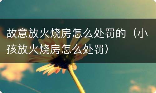 故意放火烧房怎么处罚的（小孩放火烧房怎么处罚）