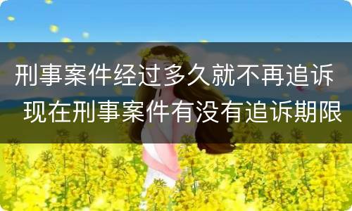 刑事案件经过多久就不再追诉 现在刑事案件有没有追诉期限