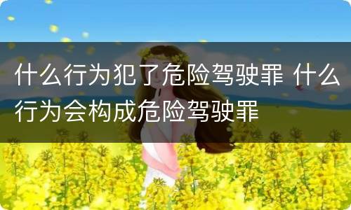 什么行为犯了危险驾驶罪 什么行为会构成危险驾驶罪