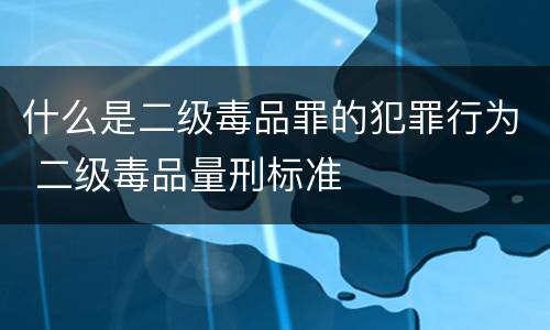 什么是二级毒品罪的犯罪行为 二级毒品量刑标准