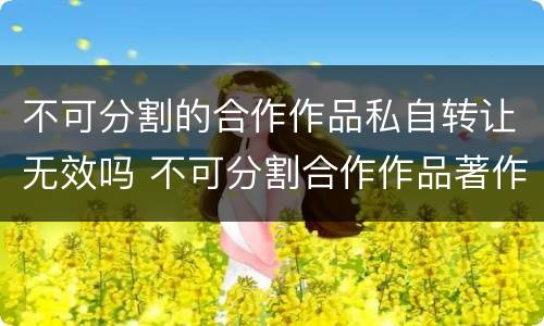 不可分割的合作作品私自转让无效吗 不可分割合作作品著作权