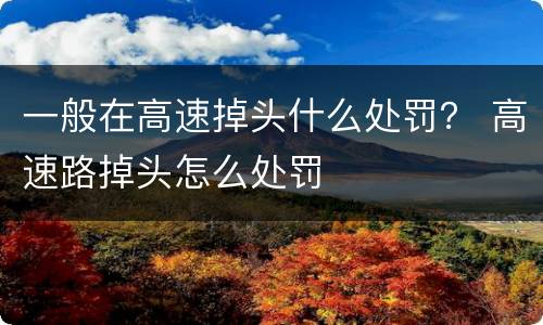一般在高速掉头什么处罚？ 高速路掉头怎么处罚