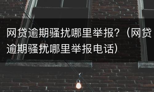 网贷逾期骚扰哪里举报?（网贷逾期骚扰哪里举报电话）