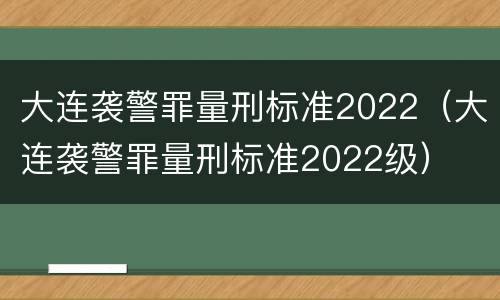 大连袭警罪量刑标准2022（大连袭警罪量刑标准2022级）