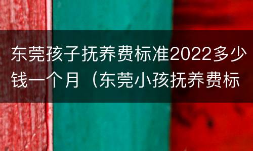 东莞孩子抚养费标准2022多少钱一个月（东莞小孩抚养费标准一月多少钱）
