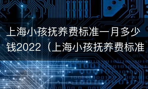 上海小孩抚养费标准一月多少钱2022（上海小孩抚养费标准一月多少钱2022年）