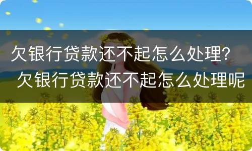 欠银行贷款还不起怎么处理？ 欠银行贷款还不起怎么处理呢