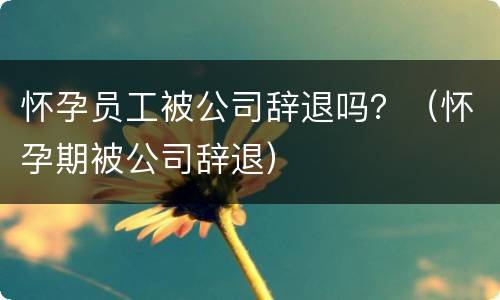 怀孕员工被公司辞退吗？（怀孕期被公司辞退）