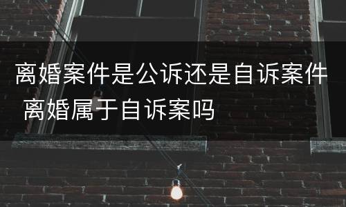 离婚案件是公诉还是自诉案件 离婚属于自诉案吗