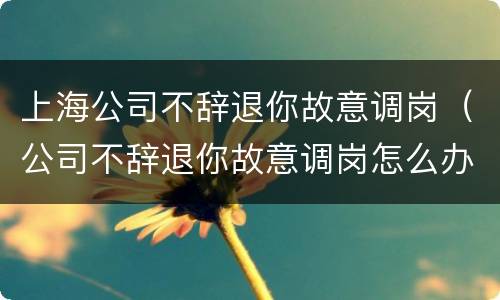 上海公司不辞退你故意调岗（公司不辞退你故意调岗怎么办）
