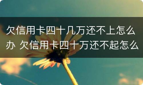 欠信用卡四十几万还不上怎么办 欠信用卡四十万还不起怎么办