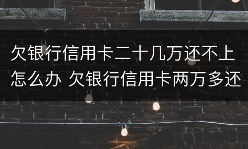 欠银行信用卡二十几万还不上怎么办 欠银行信用卡两万多还不起怎么办