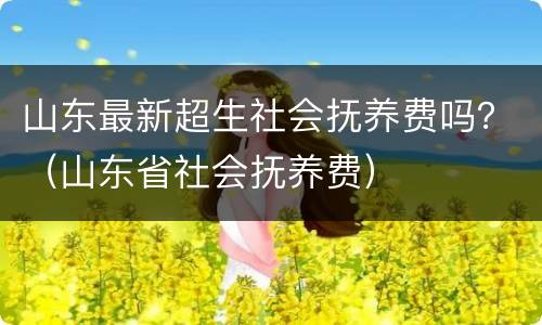 山东最新超生社会抚养费吗？（山东省社会抚养费）