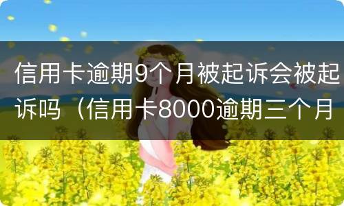 信用卡逾期9个月被起诉会被起诉吗（信用卡8000逾期三个月会不会被起诉）