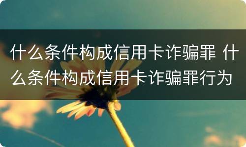 什么条件构成信用卡诈骗罪 什么条件构成信用卡诈骗罪行为