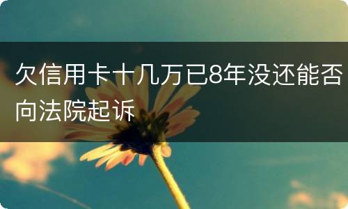 欠信用卡十几万已8年没还能否向法院起诉