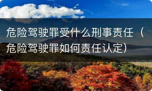 危险驾驶罪受什么刑事责任（危险驾驶罪如何责任认定）