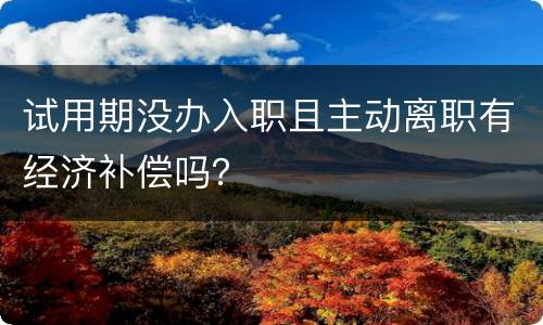 试用期没办入职且主动离职有经济补偿吗？