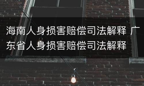 海南人身损害赔偿司法解释 广东省人身损害赔偿司法解释