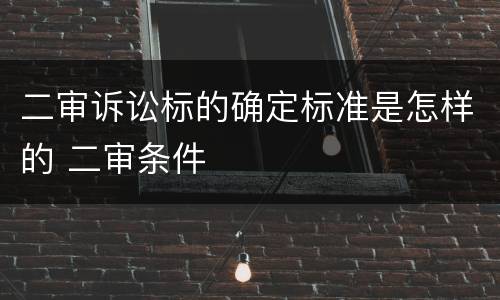 二审诉讼标的确定标准是怎样的 二审条件