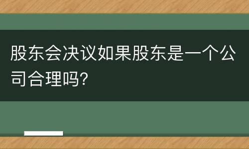 股东会决议如果股东是一个公司合理吗？