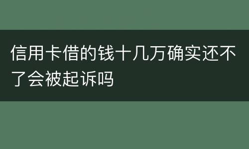 信用卡借的钱十几万确实还不了会被起诉吗