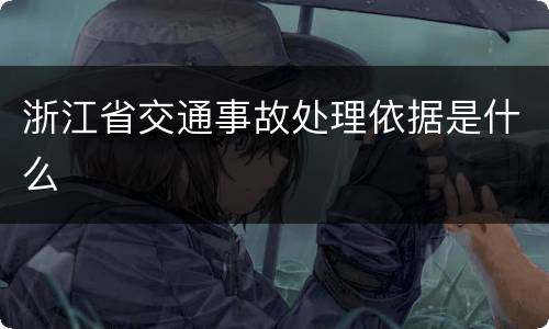 浙江省交通事故处理依据是什么