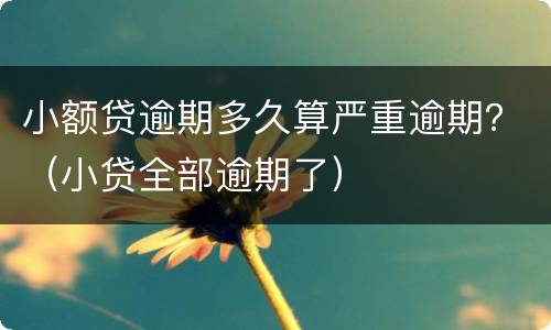 小额贷逾期多久算严重逾期？（小贷全部逾期了）