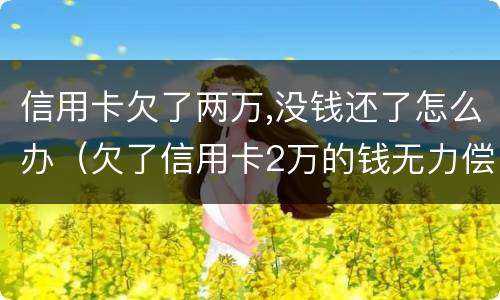 信用卡欠了两万,没钱还了怎么办（欠了信用卡2万的钱无力偿还怎么办）
