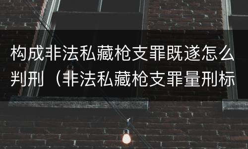 构成非法私藏枪支罪既遂怎么判刑（非法私藏枪支罪量刑标准）